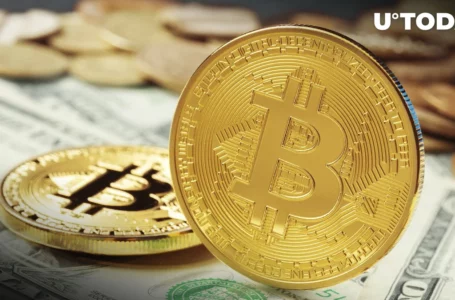 Bitcoin (BTC) Recovers Back to $28,000, Driven by These Two Factors: Details