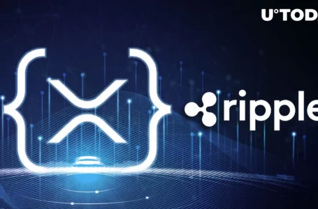 Ripple Announces Grants Giveaway to XRP Ledger Developers