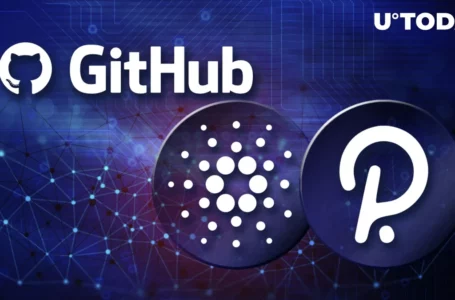 Polkadot and Cardano Dominate GitHub Commit Rankings