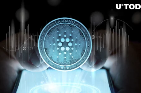Cardano (ADA) up 3% in Crucial Decoupling Move, Here Are Next Likely Moves