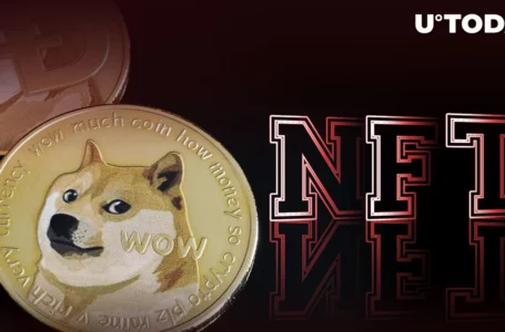 Dogecoin Founder Says He Would Buy Neither Meme Coins Nor NFTs