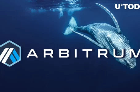 Millions of Arbitrum (ARB) Bought by Whale as ARB Dips, Here’s How Much Held Now
