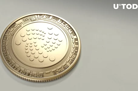 IOTA’s Shimmer EVM Testnet Reaches Remarkable Milestones Weeks After Launch