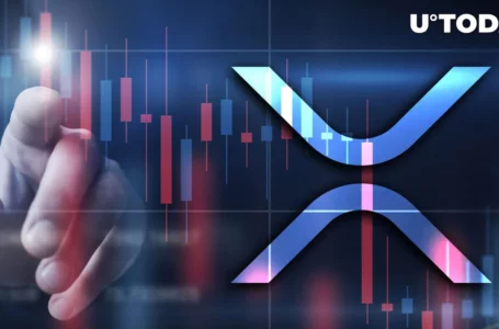 XRP Returns Below Key Level as Market Sell-off Arises: Details