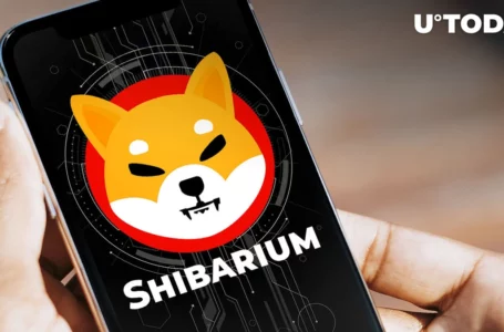SHIB Lead Shytoshi Kusama Issues Enigmatic Post in Shibarium Channel