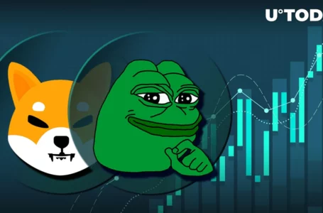 Pepe (PEPE) Surpasses Shiba Inu (SHIB) in Trading Volume