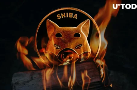 Shiba Inu Burn Rate Plummets With Only 22 Million SHIB Burned in Week