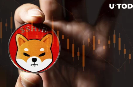 Shiba Inu (SHIB) Trend Reversal Incoming? Here’s Why