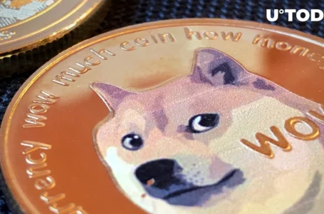 Robinhood’s Dogecoin Stash Faces Slight Decline but Billions of USD in DOGE Still Held There