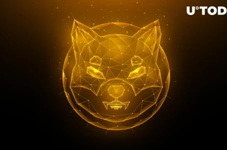 3 Things That Will Help Shiba Inu Hit $0.01: Major SHIB Enthusiast