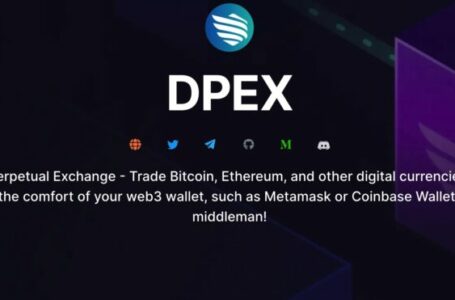 DPEX Review 2023: A Decentralized Exchange Platform on The Polygon Network