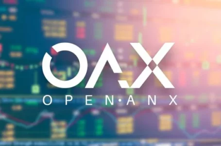 OAX Review: A Crypto Exchange Platform Developed By ANX International.