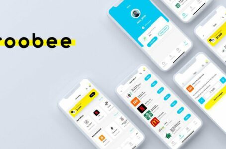 Roobee Review: The Investment World