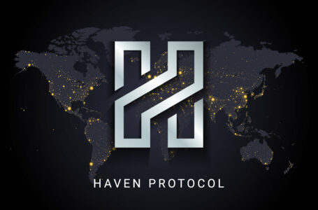 Haven Protocol Review: All You Need To Know