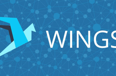 Wings Platform Review: All You Need To Know About