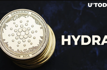 Cardano Launches First Mainnet-Compatible Hydra Node