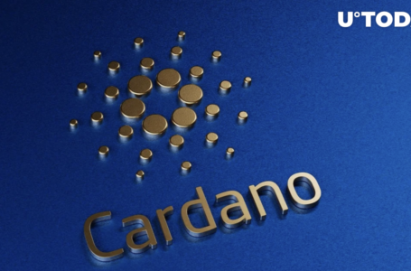 Cardano Foundation CEO Explains What Happens After SPO Vote
