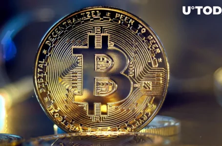 Bitcoin in Danger? Michael Kramer Forecasts Shocking Breakdown