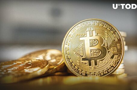 Bitcoin Bear Trap Complete, Says Top Trader