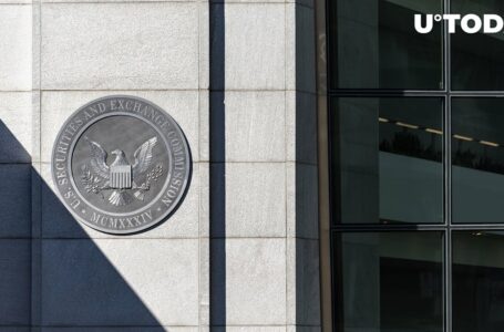 Former SEC Lawyer Critiques Crypto as Total Failure