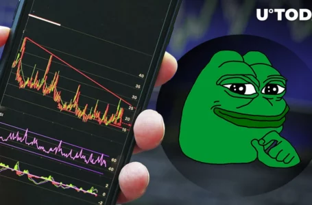 This ‘Trader’ Just Lost $300,000 Worth of PEPE, You Might Too