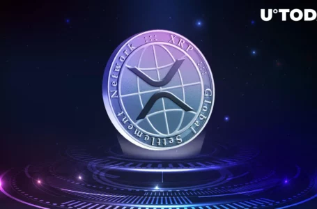 XRP Becomes Currency of This Metaverse, Here’s Its Utility