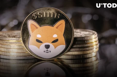 Shiba Inu (SHIB) Adds Zero to Price as Token Drops Below Key Support