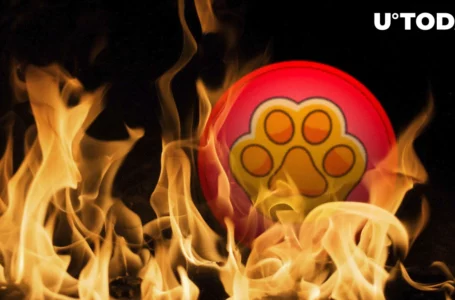 PAW Price up 7.2% as Paw Chain Rolls out Mechanism for Burning PAW With Every Transaction