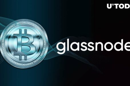 Glassnode Co-Founder: $30,000 Next for Bitcoin (BTC), Bears Are Wrong