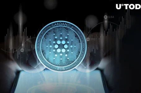 Cardano Records Impressive Growth in April With Over 65 Million Transactions
