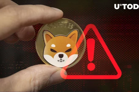 Shytoshi Kusama Issues Major Warning for SHIB Army