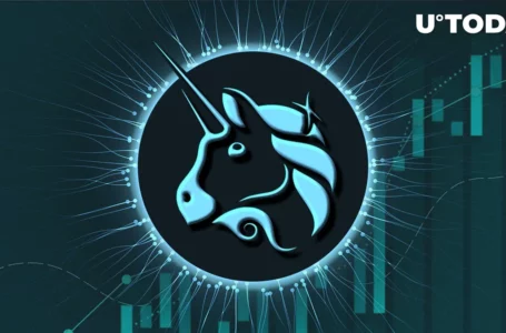 Uniswap (UNI) Whale Accumulation Grows 590%, Here’s Likely Reason