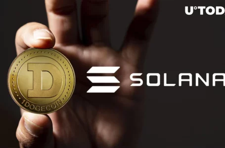DOGE Founder Says Solana Is Centralized Database and Solves Nothing
