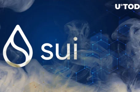 You Should Sell Your SUI When You Can, Says Analyst