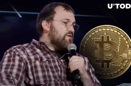 Cardano’s Charles Hoskinson Names Bitcoin’s Main Problem