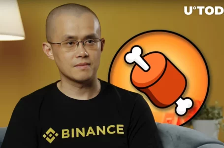 Is Shiba Inu’s BONE Going to Be Listed on Binance? CEO CZ Speaks on Meme Coin Listing