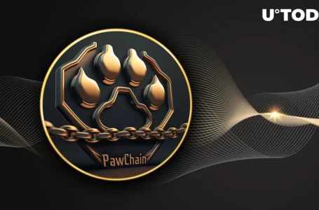 Paw Chain Team Building PAW Layer 2 Wallet: Details