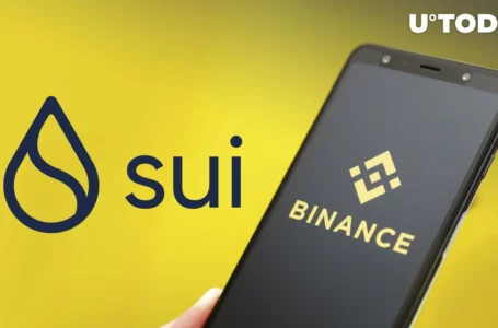 SUI Price Drops 70% as SUI Trading Kicked off on Binance