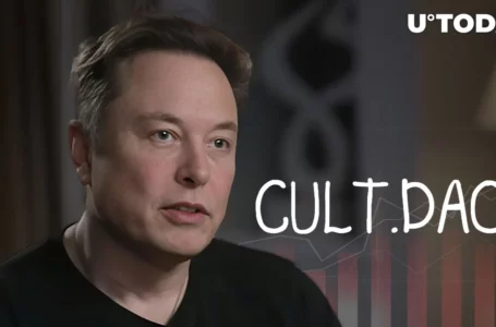 CULT Down 30% Day After Elon Musk Pump as CultDAO-Backed Project Rugpulled