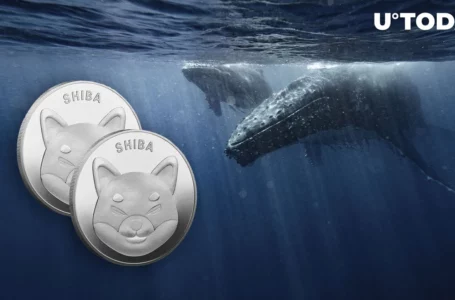 SHIB Whales Grab 33.4 Billion Shiba Inu Within 30 Minutes On the Dip