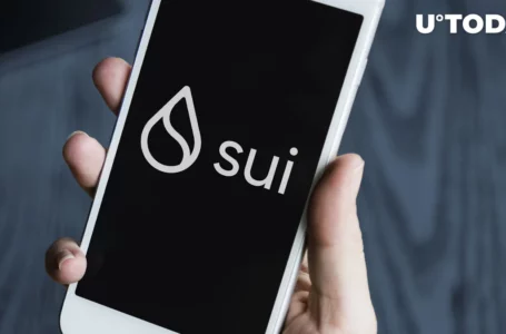66% of SUI Supply Might Get Sold, Here’s Why