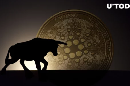 ADA Price Finds Support as Bulls Take Edge in Cardano