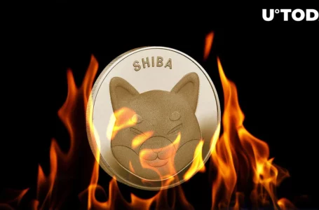 Shiba Inu (SHIB) 2 Billion Token Burn Extremely Suspicious, Here’s Why
