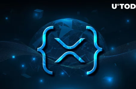 XRP: Crypto Wallet Provider Shares Important Information for XRP Holders