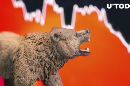 Get Ready for Bear Market, Glassnode’s Analysis Shows