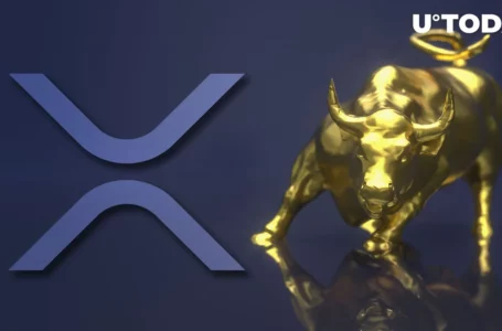 XRP Prints Unexpected Bullish Reversal as Market Recovers, Here’s What Comes Next