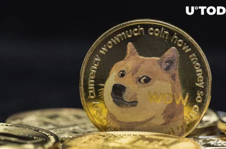 Dogecoin Sees Massive Spike in Network Activity: What’s Behind the Surge?