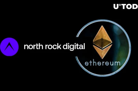 Prominent Hedge Fund North Rock Digital Founder Calls Ethereum (ETH) ‘Unquestioned Arena for Almost All Large Players’