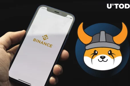 Shiba Inu Competitor Floki Inu Joins Binance Futures