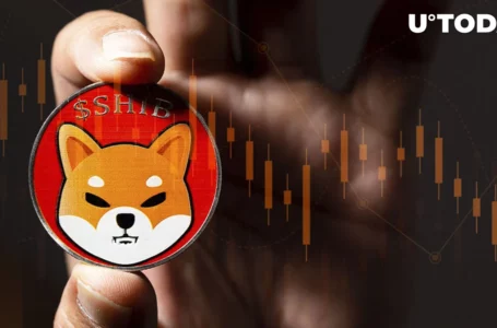 Shiba Inu (SHIB) Plummeted by 8%, Could It Spark New Rally?